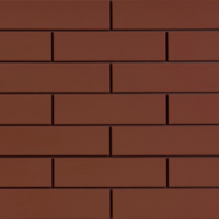 Клинкерная плитка Burgund 9553