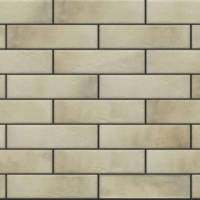 Клинкерная плитка Retro Brick Salt 1931