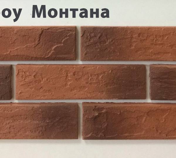 монтана