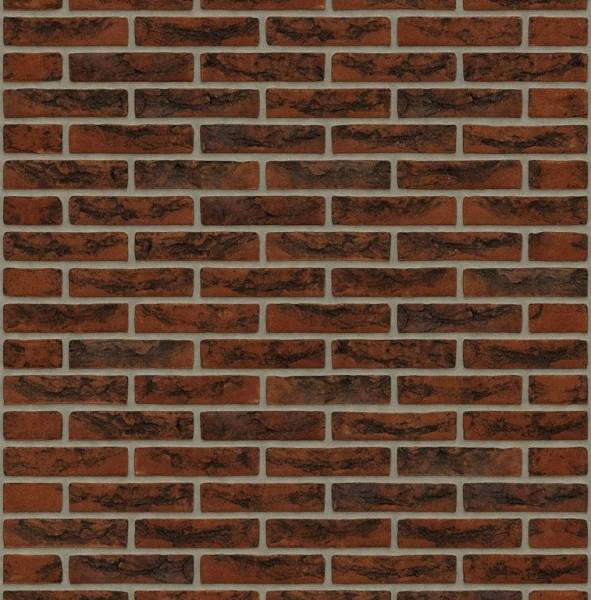 Кирпич RIJSWAARD RW221 Well WF HV