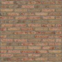 Кирпич RIJSWAARD RW262 Hydra WF HV