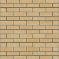 Кирпич RIJSWAARD RW305 Buff WDF VB (DR4B)