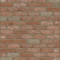 Кирпич RIJSWAARD RW4250 Kentucky WF VB