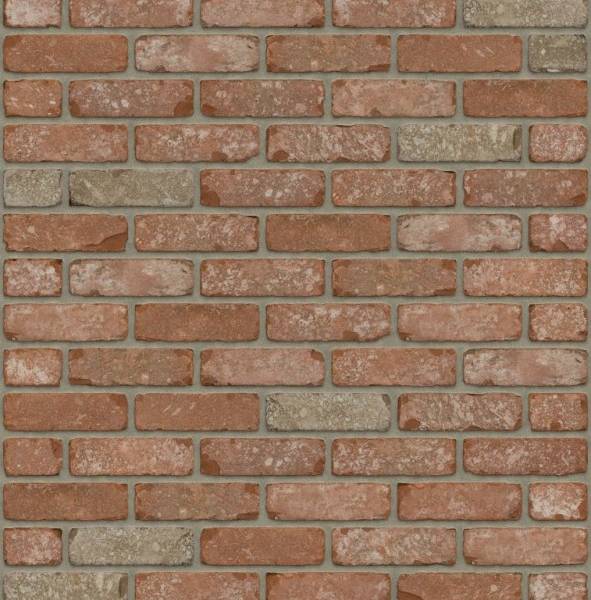 Кирпич RIJSWAARD RW4250 Kentucky WF VB