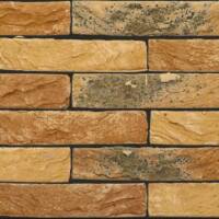 Кирпич Nelissen Stella WV50